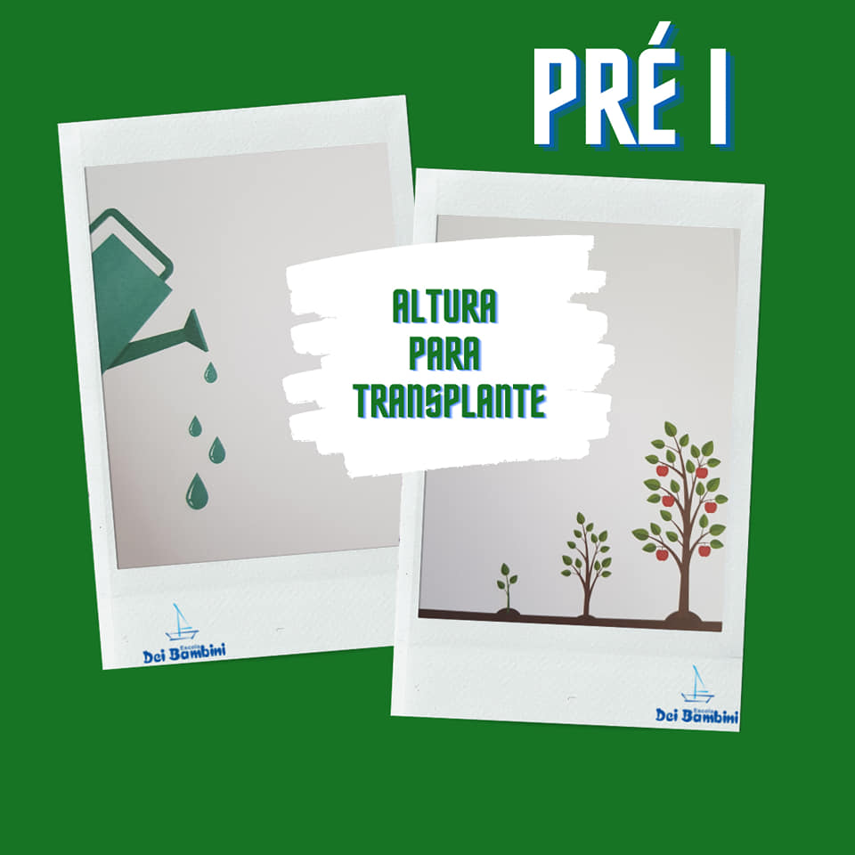 Altura para Transplante - Pré I